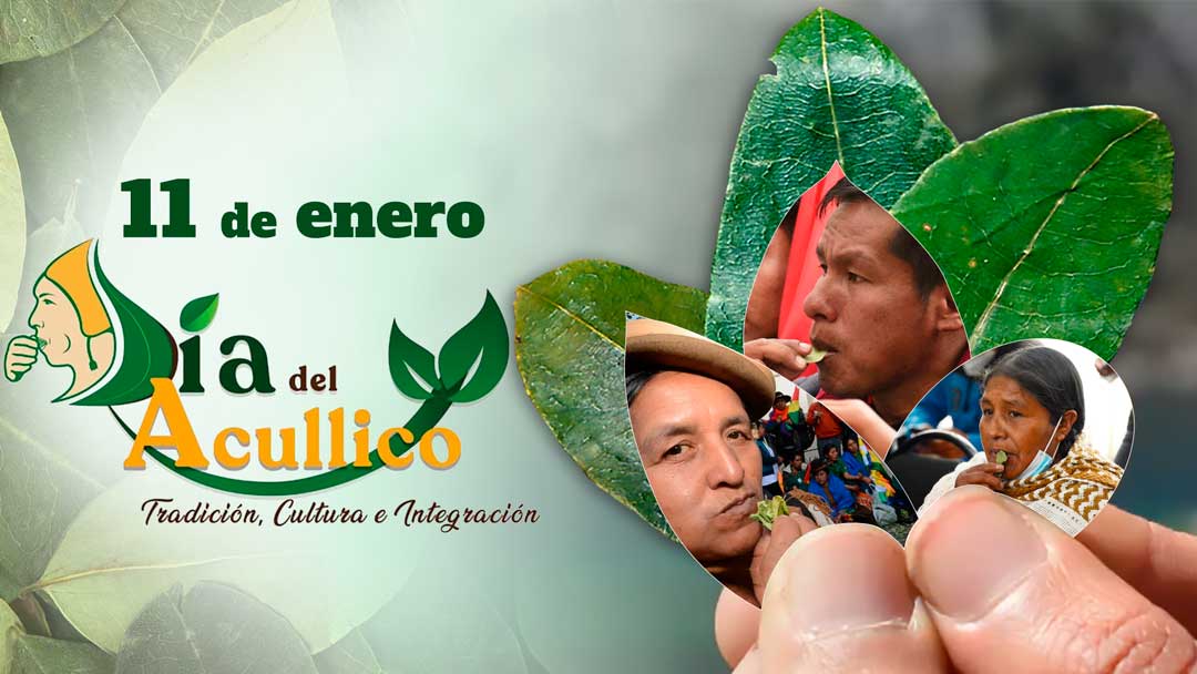 Día Nacional del Acullico en Bolivia, 11 de enero