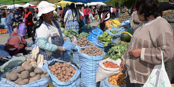 Venta de productos de la canasta familiar.