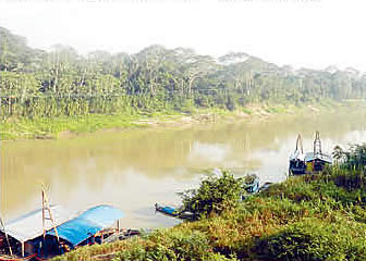 Rio a riberas del municipio de Puerto Rico, Pando.