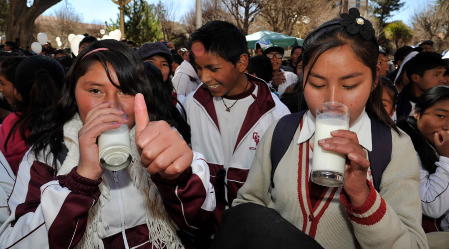 Estudiantes consumen leche en Bolivia. Estudiantes consumen leche en Bolivia.