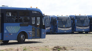 Soledad Chapetón relanza Buses Sariris sin inicio de operaciones