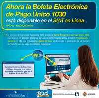 Servicio de Impuestos Nacionales aprueba la Boleta Electrónica de Pago Único 1030