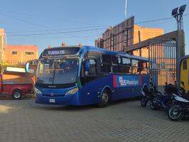 Servicio de bus municipal alteño en el ojo de la tormenta 