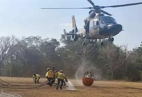 Declaran situación de desastre nacional por los incendios 