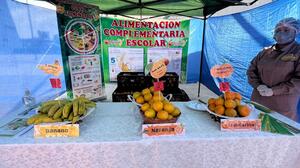 Yogurt con chía y galleta waffer será la ración para el retorno a clases 