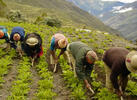 Seguridad alimentaria y Carta Social, los logros de Bolivia