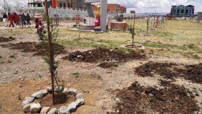 Embellecen con 170 arboles cementerio de Mercedario 
