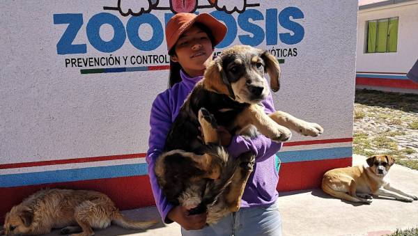 Este jueves vuelve la feria de adopción de cachorros en Satélite