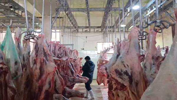 Inspección identifica deficiencias en el Matadero Municipal de El Alto